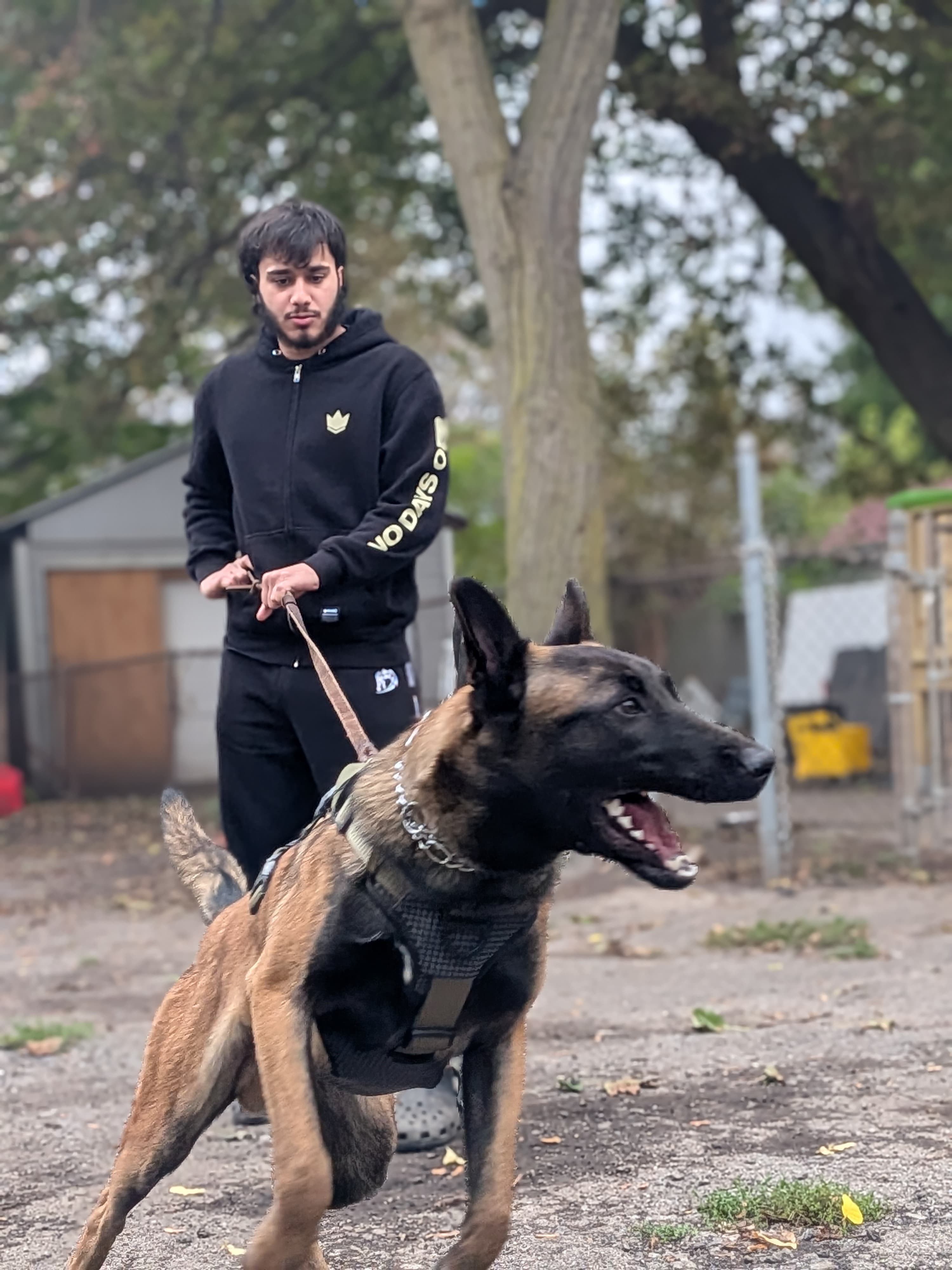 Security Escort